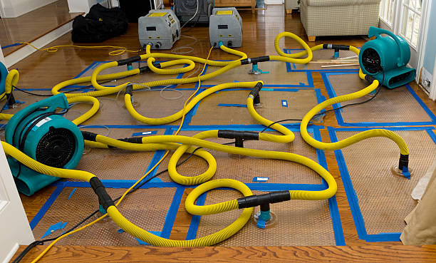 Professional Crawl Space Water Removal technician working in Prospect Harbor, ME